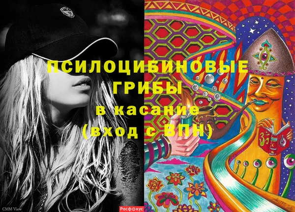 стаф Алексеевка