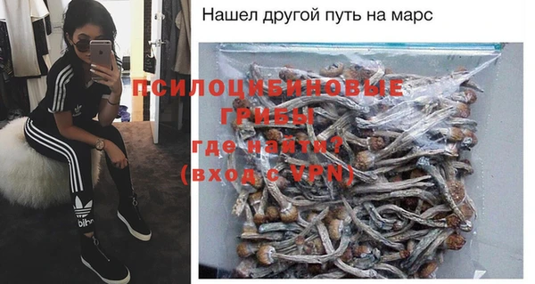 стаф Алексеевка