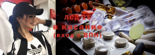 ГАЛЛЮЦИНОГЕННЫЕ ГРИБЫ Алексин