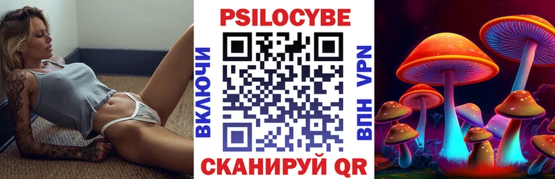 Псилоцибиновые грибы Psilocybe  Дрезна 
